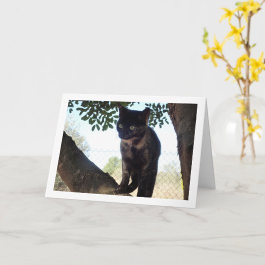 Carte Tortoiseshell Kitten in Tree (Fleur jaune)