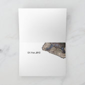 Carte Tortue bonjour ! (Intérieur)