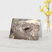 Carte Tortue de Gopher non heureuse (Fleur jaune)