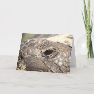 Carte Tortue de Gopher non heureuse