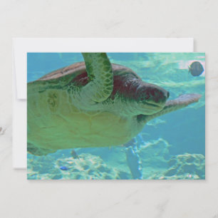 Carte Tortue de mer