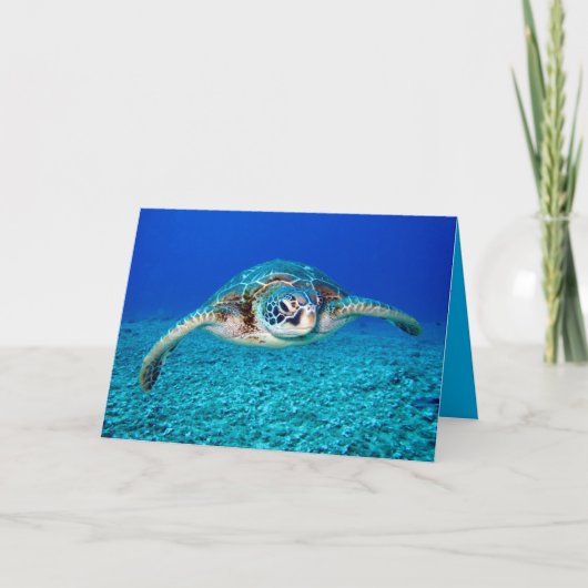 Carte Tortue de mer (Devant)
