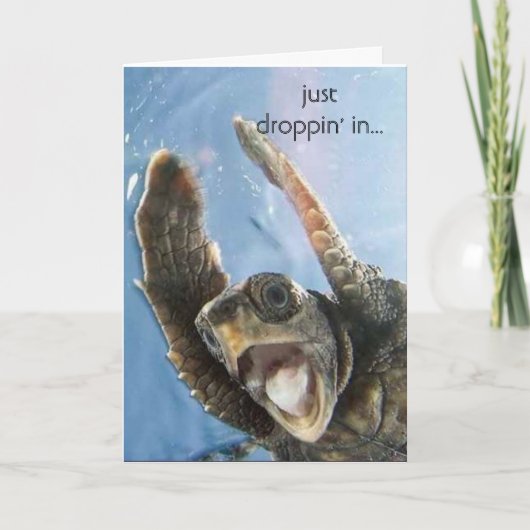 Carte tortue de wheeeeeeeee, juste droppin dans… (Devant)