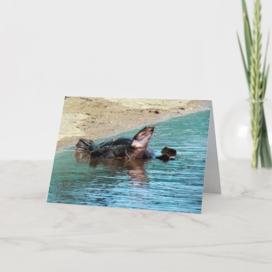 Carte Tortue molle adorable (Devant)