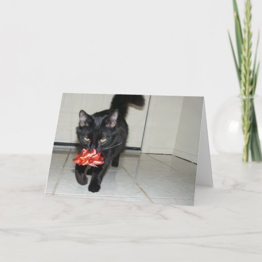 Carte Toshi personnalisable (Devant)
