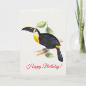 Carte Toucan (Devant)
