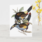 Carte toucan Plat-affiché de montagne (Fleur jaune)