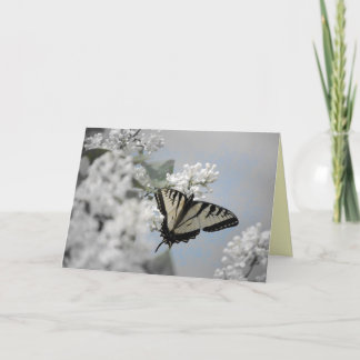 Carte Toucher doux