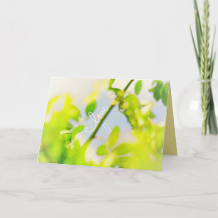 Carte Toujours Amour Feuilles Vertes Ciel Bleu