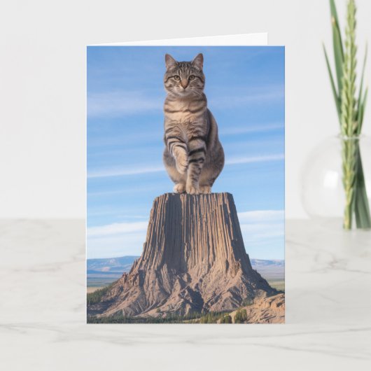 Carte Tour de l'Enfer Tabby Drôle (Devant)