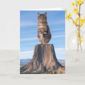 Carte Tour de l'Enfer Tabby Drôle (Fleur jaune)