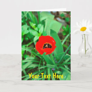 Carte Tournelle rouge personnalisable