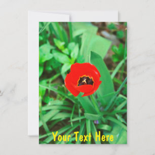 Carte Tournelle rouge personnalisable