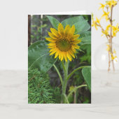 Carte Tournesol (Fleur jaune)