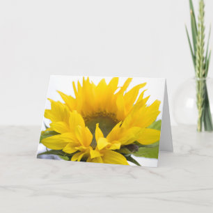 Carte Tournesol