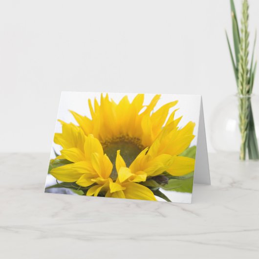 Carte Tournesol (Devant)