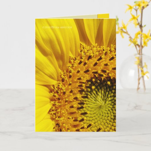 Carte Tournesol (Fleur jaune)