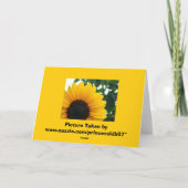 Carte Tournesol (Dos)