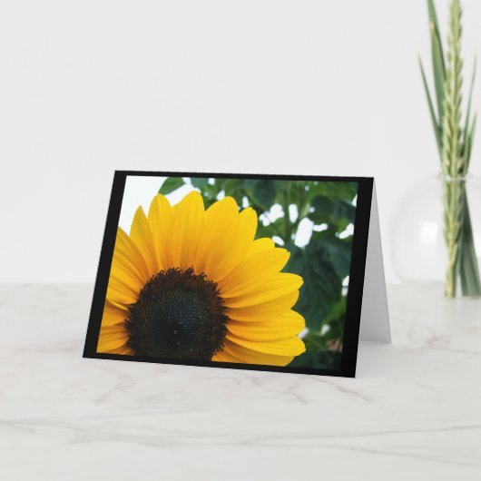 Carte Tournesol (Devant)