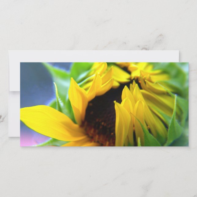 Carte Tournesol du Nouveau-Mexique (Devant)