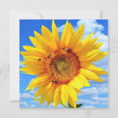 Carte tournesol et abeilles (Dos)