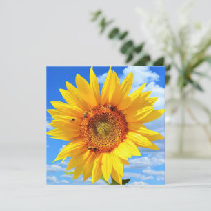Carte tournesol et abeilles