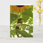 Carte Tournesol et tamia (Fleur jaune)