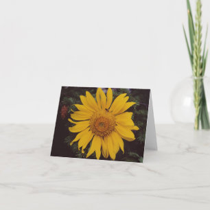 Carte Tournesol géant avec l'abeille, branches de pins v