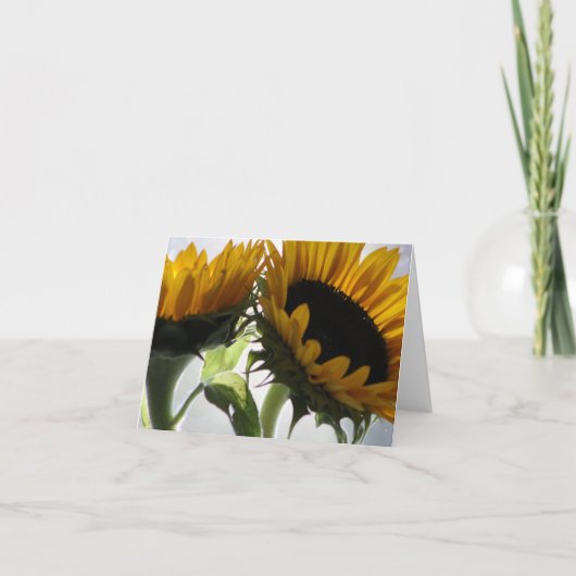 Carte tournesol II (Devant)