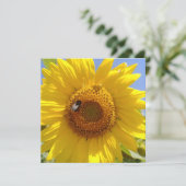 Carte Tournesol jaune (Debout devant)