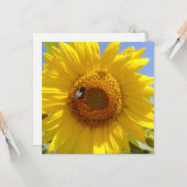 Carte Tournesol jaune (Devant/Arrière en situation)