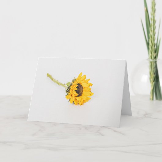 Carte Tournesol jaune (Devant)