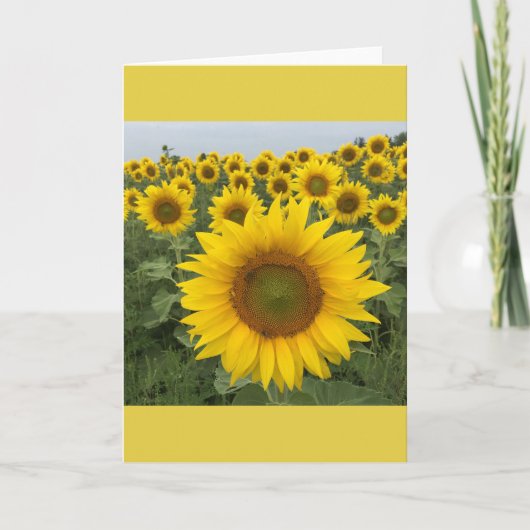 Carte Tournesol jaune (Devant)