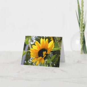 Carte Tournesol @ le jardin des enfants