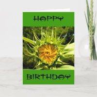Tournesol photo Anniversaire