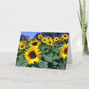 Carte Tournesol pour la maman