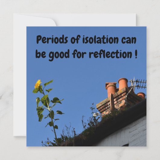 Carte Tournesol sur le toit. (Devant)