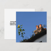 Carte Tournesol sur le toit. (Devant / Derrière)