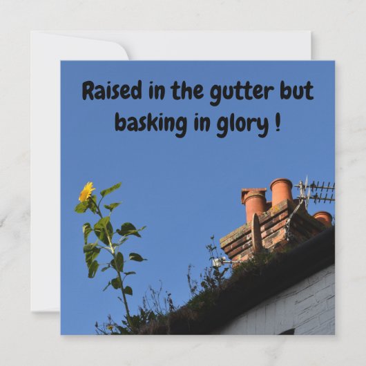 Carte Tournesol sur le toit. (Devant)