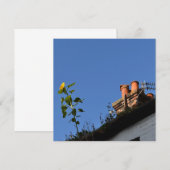 Carte Tournesol sur le toit. (Devant / Derrière)