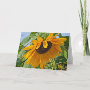 Carte Tournesol triste