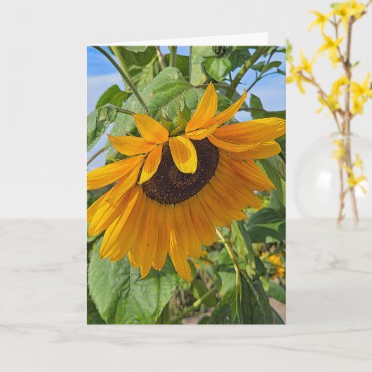Carte Tournesol triste (Fleur jaune)