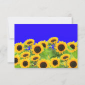 Carte tournesol Ukraine Drapeaux couleurs soutien  (Dos)