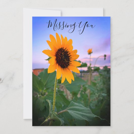 Carte Tournesol Vous Manquant À Dusk Photo Custom (Devant)