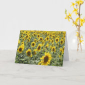 Carte Tournesols dans la fin de l'après-midi (Fleur jaune)