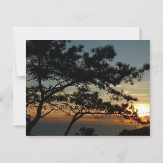 Carte Tourrey Pine Sunset I California Paysage (Devant)