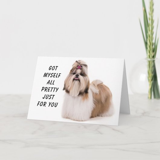 CARTE **TOUT JOLI POUR VOTRE ANNIVERSAIRE** (Devant)