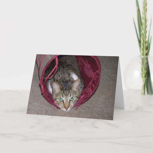 Carte Tout Joyeux (Devant)