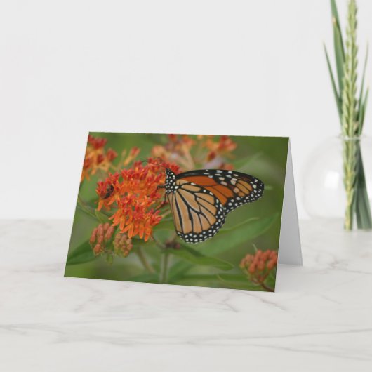 Carte Tout orange (Devant)