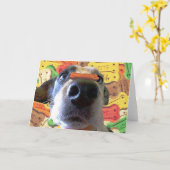 Carte "Tout vient à point à qui sait attendre " (Fleur jaune)